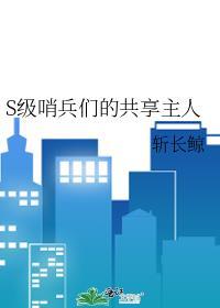 S级哨兵的共享主