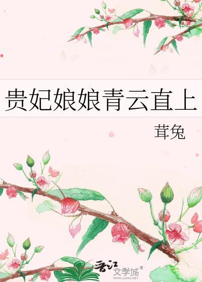 贵妃娘娘青云直上TXT免费