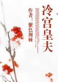 冷宫皇夫txt百度资源