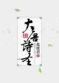 大唐诗圣有几个版本