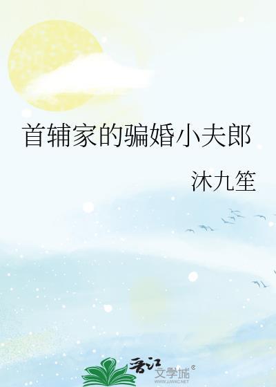 首府家的骗婚小夫郎全文阅读