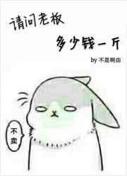 老板这瓜多少钱一斤