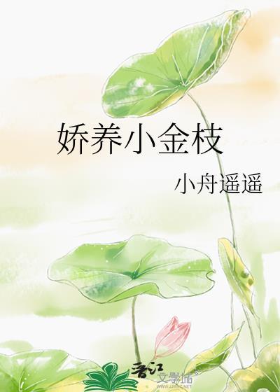 娇养小金枝裴寂
