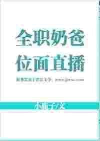 全职爸爸原著