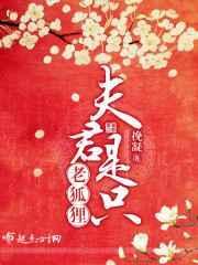 夫君是只狐狸精乔莹沈青鱼
