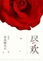 尽欢风流录