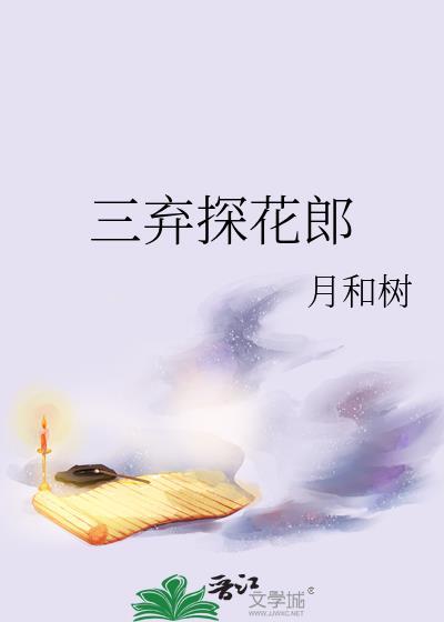 三弃探花郎讲的什么