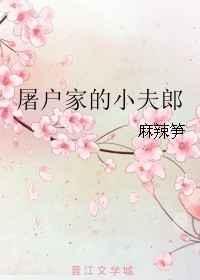 屠户家的小夫郎txt电子书