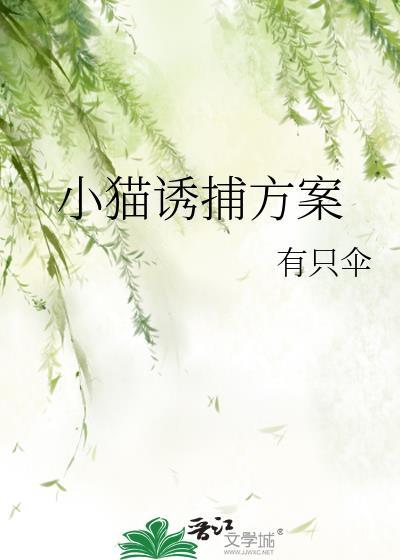 小猫诱捕方案未删减