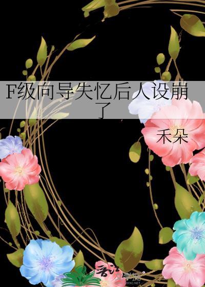 f级向导不想升级无防盗