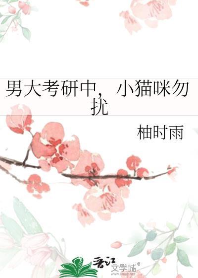 男大考研中,小猫咪勿扰