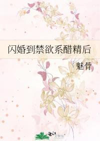 闪婚到禁欲系醋精后